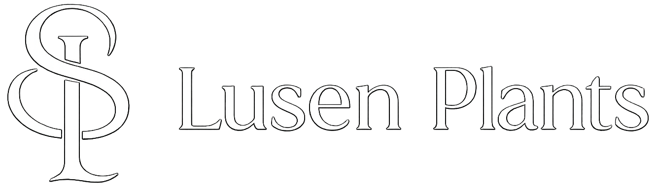 Lusen Plants